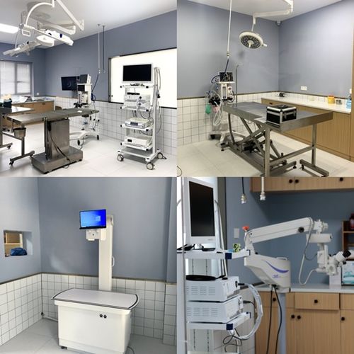 重量級寵物醫院今日盛大開業，湖南仁才動物醫院再啟航