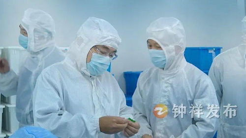 周軍帶隊赴南昌、上海開展精準招商考察 聚焦產(chǎn)業(yè)升級與項目合作