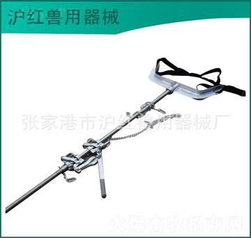 精密獸醫解剖器械 從金屬加工到專業應用的全方位解析